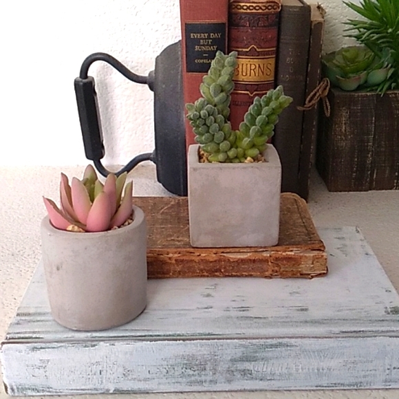 2 Small Fake Succulent Cactus potted plants - Picture 3 of 9
